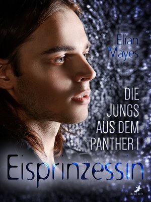 cover image of Die Jungs aus dem Panther